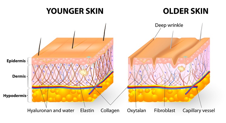 starzenie się skóry